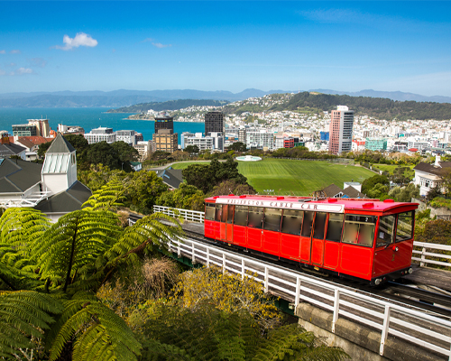 International Courier Services to New Zealand